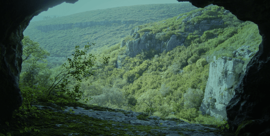 Captura de Tela 2024-05-24 às 09.19.43.png